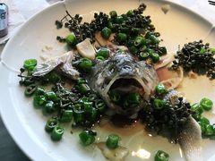 -雀蓝川菜(奥体广场店)