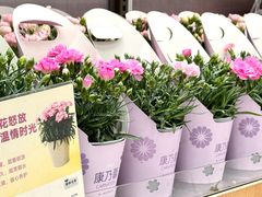 -天津梅江印象城