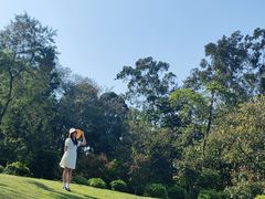 -广西壮族自治区药用植物园