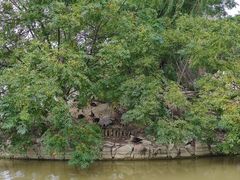 -盐城丹顶鹤湿地生态旅游区