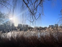 -青城公园