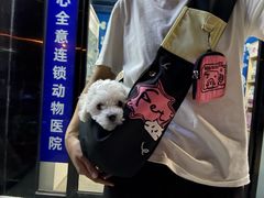 -全心全意连锁动物医院·特色中医诊疗(会城门分院)