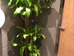 -润园四季椰子鸡火锅(南山海岸城店)