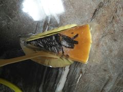 -天娜美雪(湖东街店)