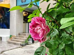 -T-COFFEE(长江花园店)