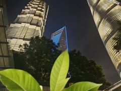 -上海中心大厦