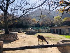 -西安秦岭野生动物园