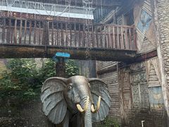 -呀路古热带植物园
