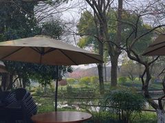 -铭莲·八卦田水上餐厅