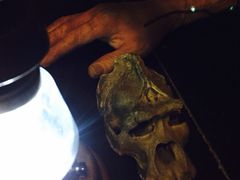密讯馆密室逃脱mixunguan.com(环球港旗舰店)-密讯馆密室逃脱&换装侦探剧(环球港旗舰店)