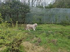 -乐和乐都主题乐园