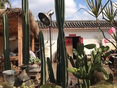 -悦哉·派对·草坪婚礼·围炉煮茶(三圣乡店)
