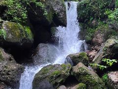 -青城山