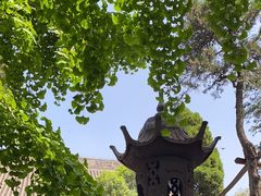 -洛阳白马寺