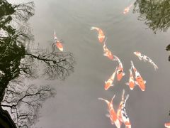 -杭州西湖柳莺里酒店