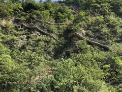 -鹿院坪生态旅游景区