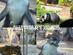 -南昌动物园