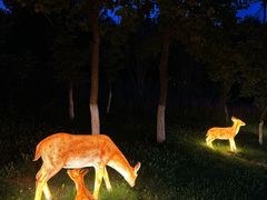 -水上乐园·欢乐世界