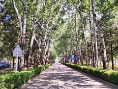 -北京大学(昌平校区)