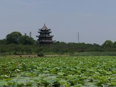 -上海海湾国家森林公园