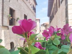 -华谊兄弟（长沙）电影小镇