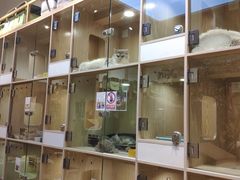 -屋虎猫馆(宝安大仟里店)