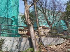 -上海佘山国家森林公园西佘山园