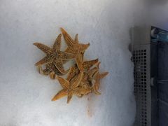 -海韵之星邮轮水会(明发商业广场店)