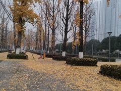 -两江幸福广场