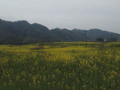 -新安江山水画廊风景区