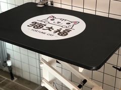 升降美容台-猫大福·Fortune Cat猫舍(百子湾店)