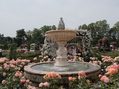 -丽池公园