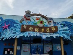 -金砂公园