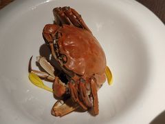 -蟹榭·莳鲜(虹桥高岛屋店)