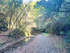-夏霖九天银瀑风景区