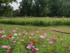 -北京奥林匹克公园