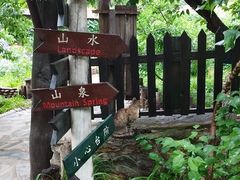 -北京水岸山吧度假村(雁栖镇店)