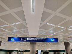 -米兰马尔彭萨国际机场