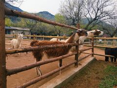 -西安秦岭野生动物园