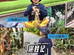 -野象谷景区