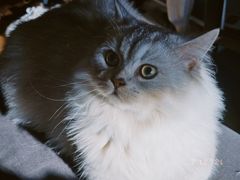 -贝利宠物医院·骨科·眼科·肿瘤转诊中心(南坪诊疗中心)