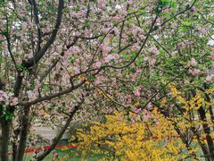 -元大都城垣遗址公园