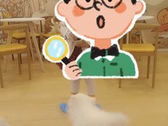 -Let's go狗咖·猫咖·奶狗·桌游(春熙路IFS店)
