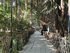 -小洲村