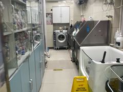 -北京观赏动物医院·24小时大型综合·猫专科·异宠专科
