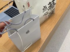 -Apple零售店(苏州店)