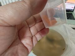 -沙县小吃(杨庄店)