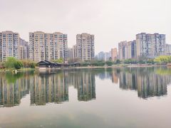 -洋湖国家湿地公园