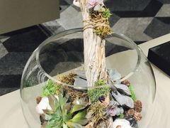 -太平洋中心(CF Pacific Centre)