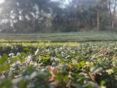 -敬亭山风景名胜区